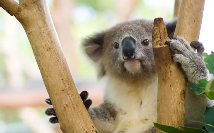 現地おすすめ観光